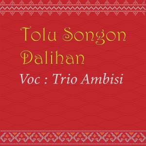 Listen to Unang Au Sai Solsoli song with lyrics from Trio Ambisi