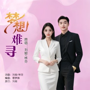 Album 梦想难寻(对唱版) from 林芬