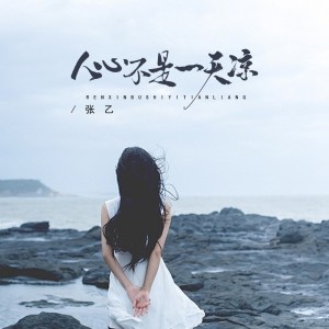 Album 人心不是一天凉 from 张乙