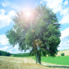 default album img