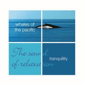 Album Tranquillity- Whales Of The Pacific oleh Leviathan