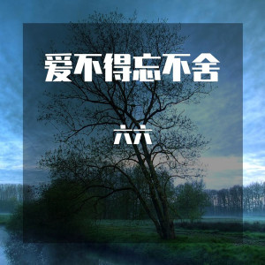 收聽六六的自娛自樂歌詞歌曲