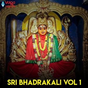 Album SRI BHADRAKALI, Vol. 1 from Sreekanth
