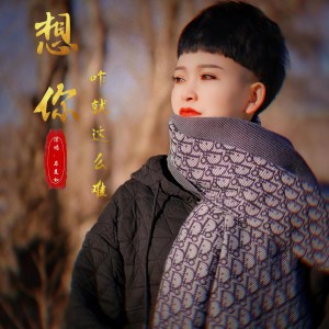 收听马美如的想你咋就这么难 (伴奏)歌词歌曲