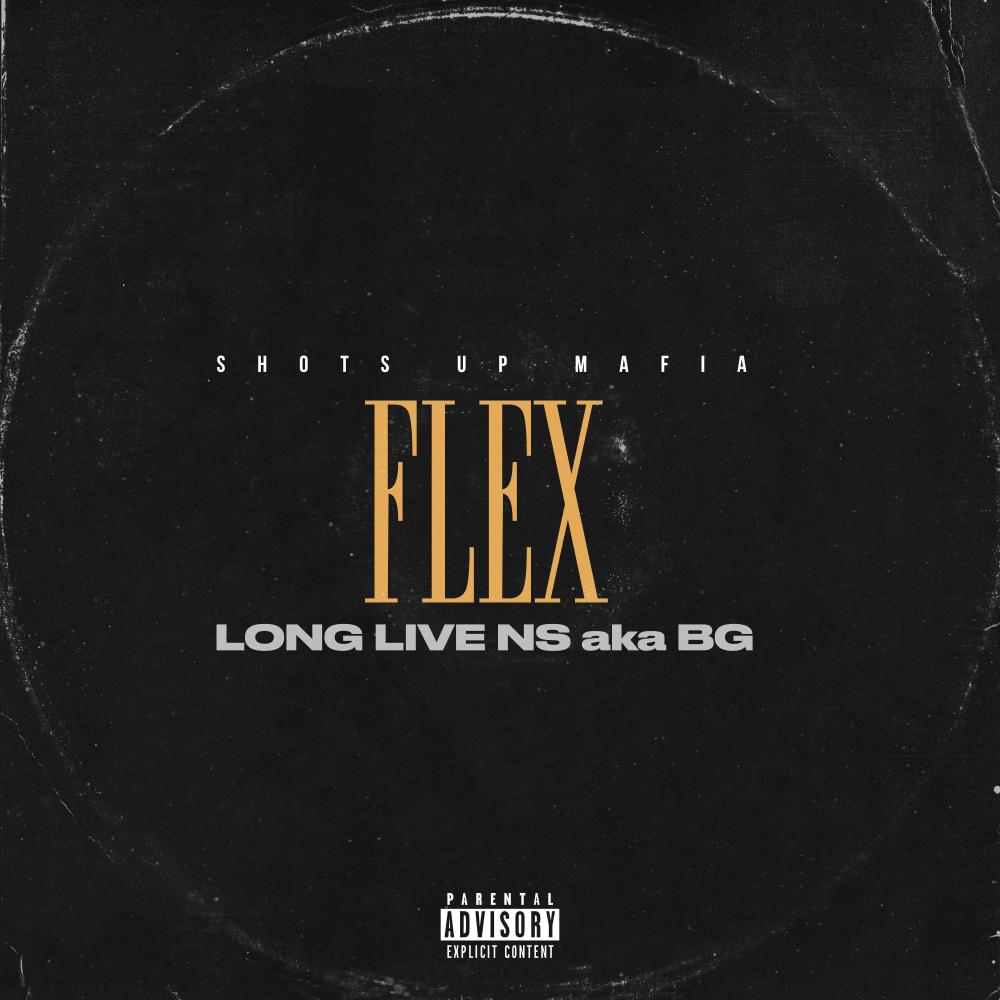 Flex (feat. Banks & Lil Man) (Explicit)