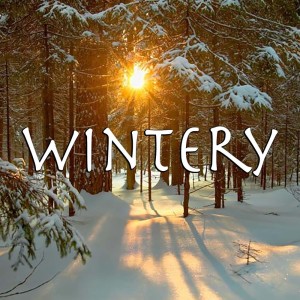 Various Artists的专辑Wintery