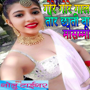 Golu Tiger的专辑Gore Gore Gal Tor Chhati Ba Mosammi (Explicit)