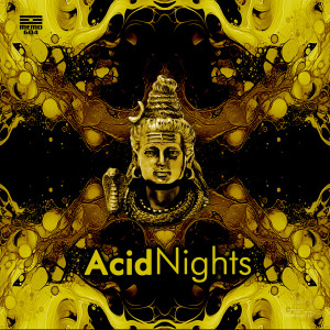 Acid Nights dari Various