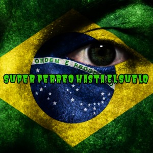 ดาวน์โหลดและฟังเพลง Lo Mejor del Perreo พร้อมเนื้อเพลงจาก Mega Perreo Brasileño