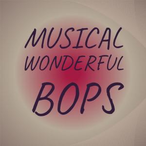 Various的专辑Musical Wonderful Bops