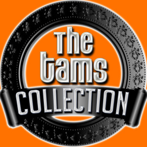 ดาวน์โหลดและฟังเพลง Disillusioned (Rerecorded) พร้อมเนื้อเพลงจาก The Tams