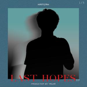 Listen to LAST HOPE (Radio Edit) song with lyrics from Hamzah