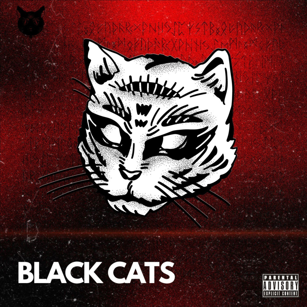 Black Cats (Explicit)