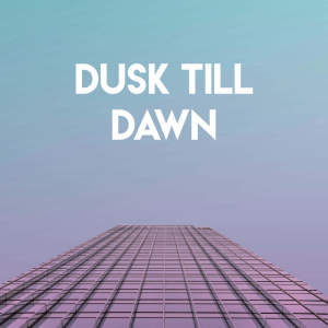 Vibe2Vibe的專輯Dusk Till Dawn