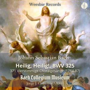 Listen to Heilig, Heilig!, BWV 325 song with lyrics from Jorge J. Collantes