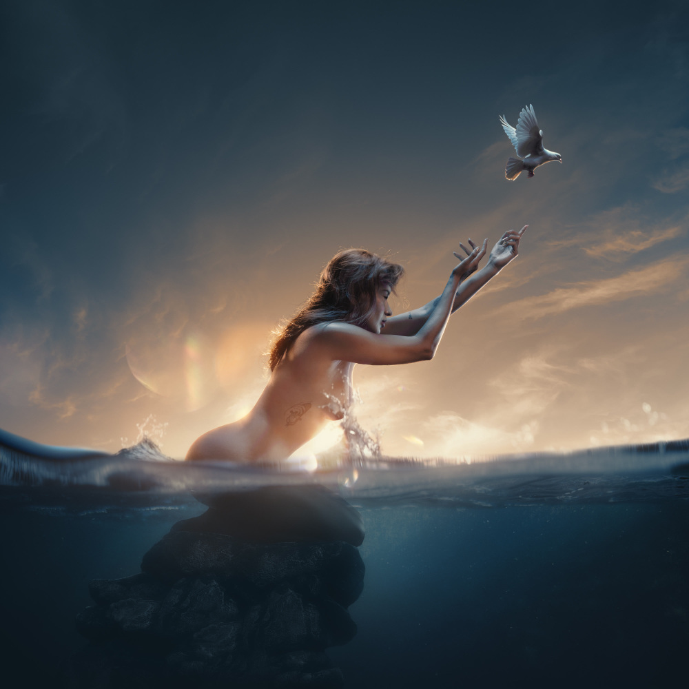 VOLAR