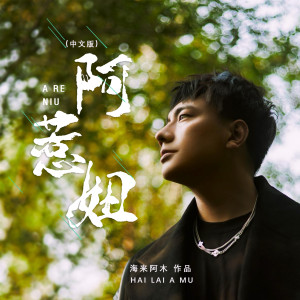 Album 阿惹妞 (中文版) from 海来阿木