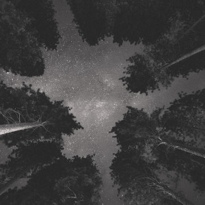 Listen to Late Night Bright Light song with lyrics from Staffan Carlén