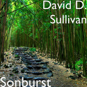 Listen to Sonburst song with lyrics from David D. Sullivan