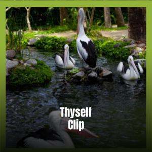 收聽Afena的Nobelium Slight歌詞歌曲