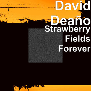 收听David Deaño的Strawberry Fields Forever歌词歌曲