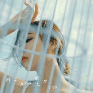 Listen to Sheng Xia Wo De Hui Yi Li song with lyrics from 丁可欣