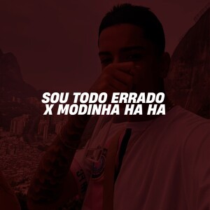 Album SOU TODO ERRADO X MODINHA HA HA (Explicit) from DN22