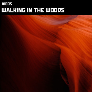 Listen to Walking in the woods (Radio Edit) song with lyrics from Aicos