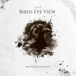 收聽A9e的Birds Eye View (Explicit)歌詞歌曲