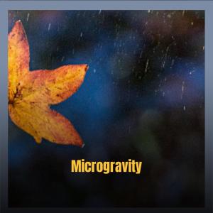 Album Microgravity from Various