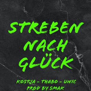 Album Streben nach Glück (Explicit) from Kóstja