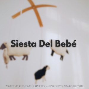 Album Tiempo De La Siesta Del Bebé: Sonidos Relajantes De Lluvia Para Dulces Sueños from Ruido Para Bebé