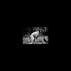 收听Toledo的Pura Mierd4 (Explicit)歌词歌曲