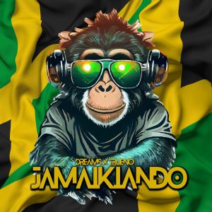 ดาวน์โหลดและฟังเพลง Jamaikiando (feat. Dj Trueno) พร้อมเนื้อเพลงจาก Dj Dreams