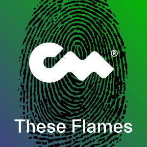 Fluwence的專輯These Flames