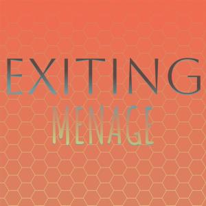 Various的专辑Exiting Menage