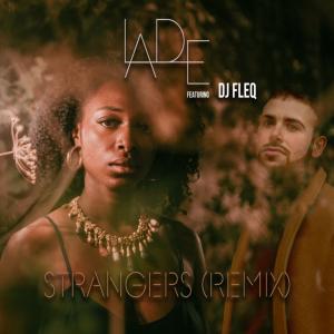 Album Strangers (feat. DJ Fleq) (Remix) from Ladě