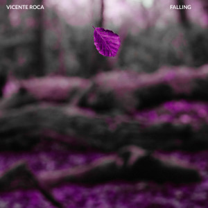 收听Vicente Roca的Falling (Extended Mix)歌词歌曲