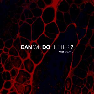ดาวน์โหลดและฟังเพลง Can We Do Better (Radio Edit) พร้อมเนื้อเพลงจาก CALINITE