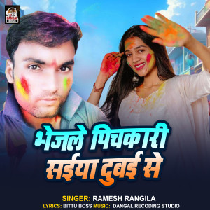 Listen to Bhejle Pichkari Saiya Dubai Se song with lyrics from Ramesh Rangila