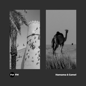 Album Hamama & Camel from Pat FM