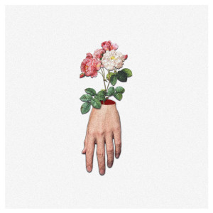 Dengarkan Flesh lagu dari The Penniless Wild dengan lirik