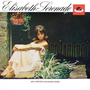 ดาวน์โหลดและฟังเพลง Toselli-Serenade พร้อมเนื้อเพลงจาก Gunter Kallmann Choir