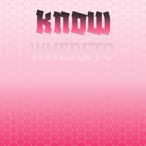 Various Artists的專輯Know Whereto