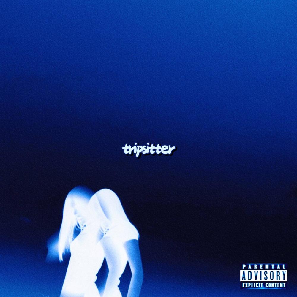 Tripsitter (feat. Hunny AP) (Explicit)