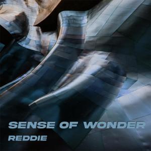 收聽Reddie的Sense of wonder歌詞歌曲