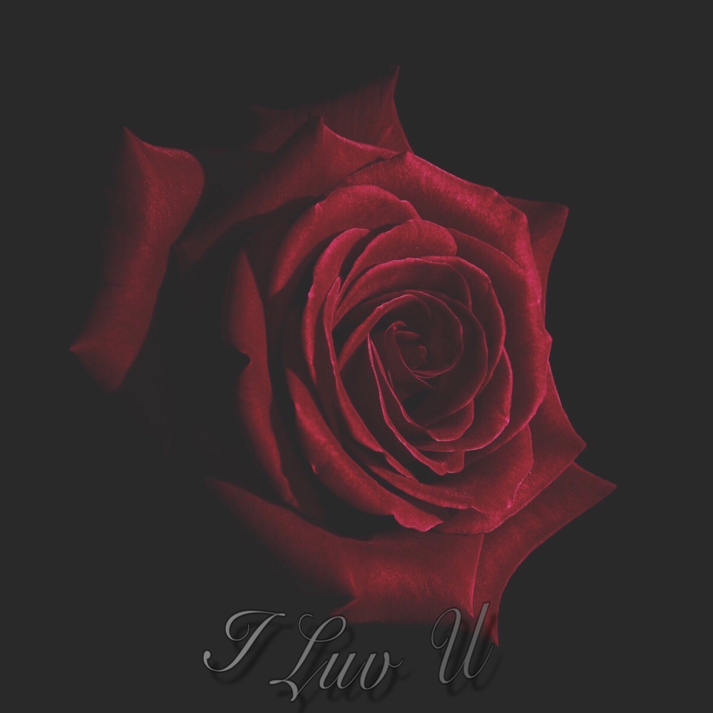I Luv U (Remix)