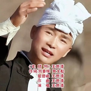 Listen to 走麟州 伴奏 降调版 (伴奏) song with lyrics from 王世清