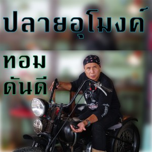 ดาวน์โหลดและฟังเพลง ปลายอุโมงค์ พร้อมเนื้อเพลงจาก ทอม ดันดี