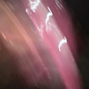 Album Foglia (feat. E-TERNAL) [remix] from 